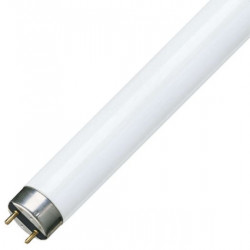 Лампа люминесцентная T8 Philips TL-D 18W/54-765 G13, 590 mm 