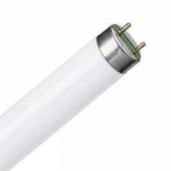 Лампа люминесцентная T8 Philips TL-D 58W/54-765 G13, 1500 mm