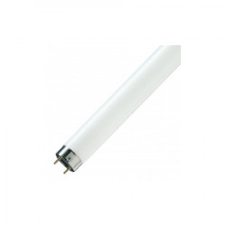 Люминесцентная лампа T8 Osram L 58 W/765 G13, 1500 mm 