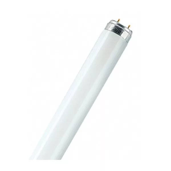 Лампа люминесцентная T8 Philips TL-D 18W/33-640 G13, 590 mm